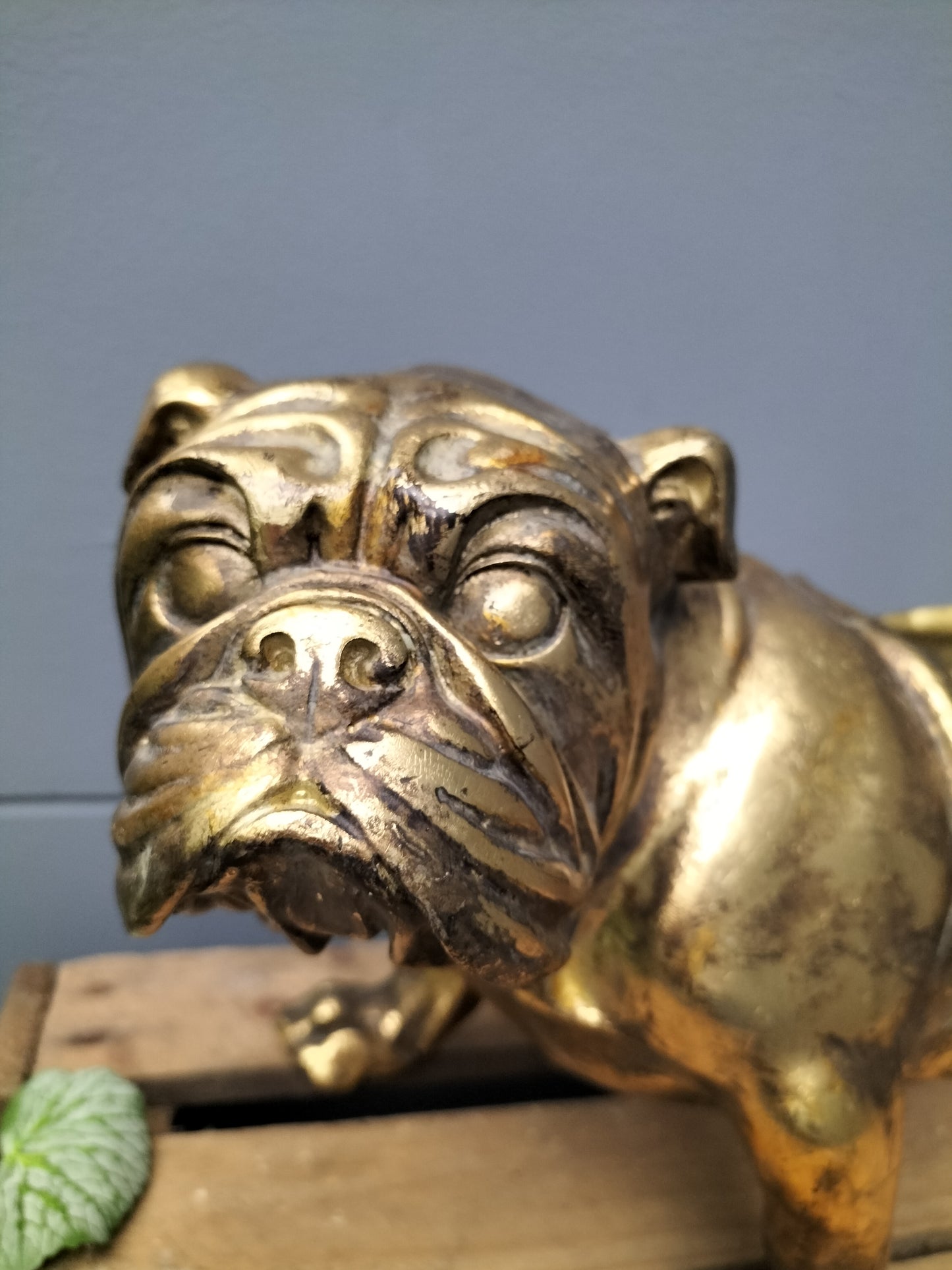 Polyresin bulldog planter - 34cm