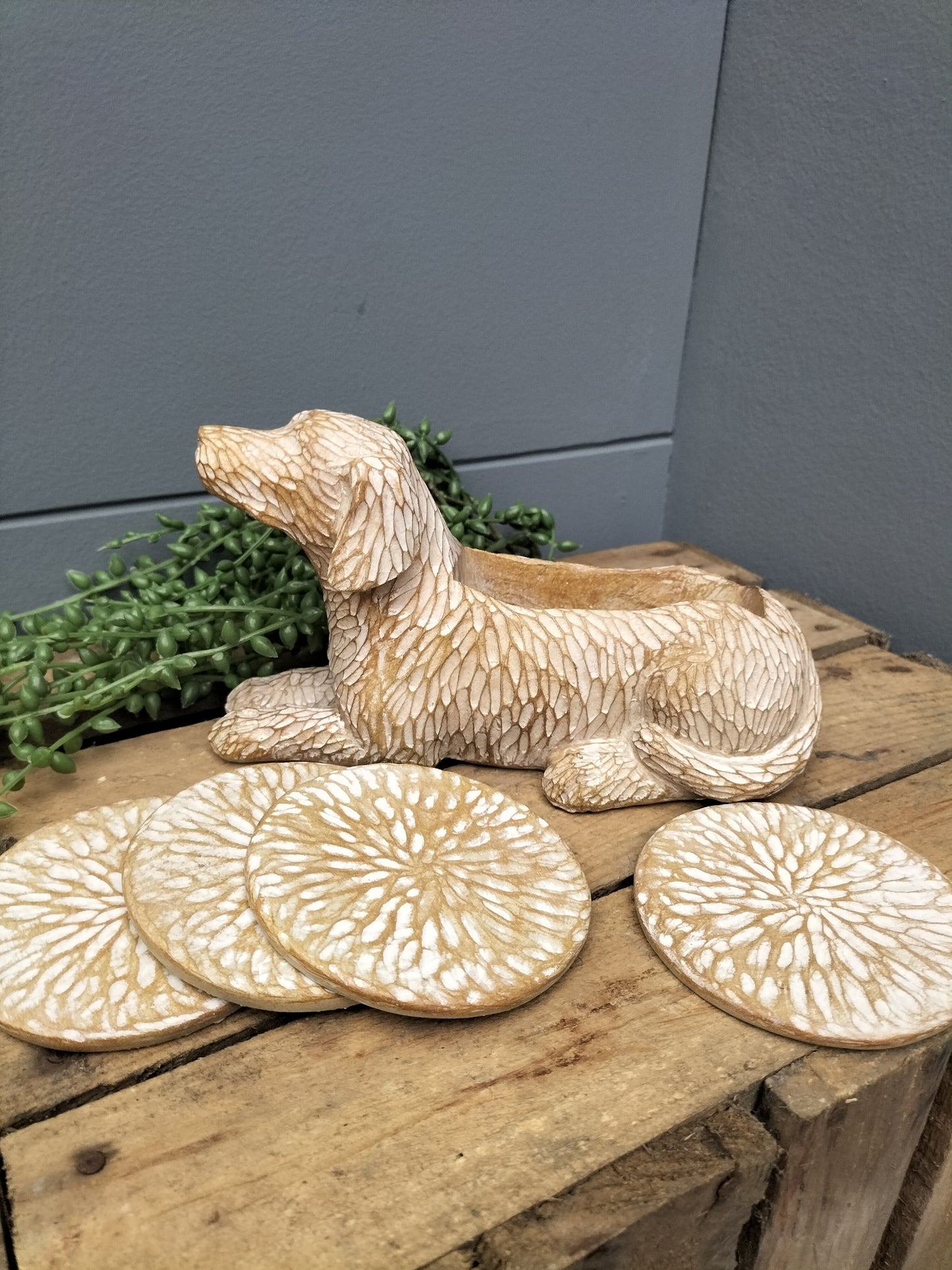 Poly resin hond met onderzetters