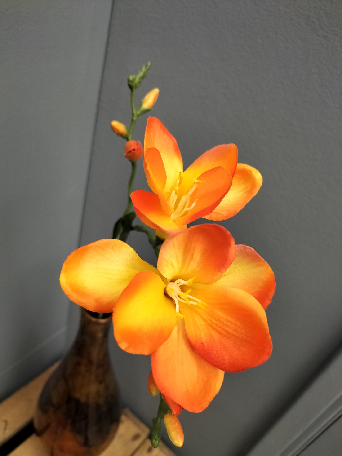 Freesia - oranje, 68cm