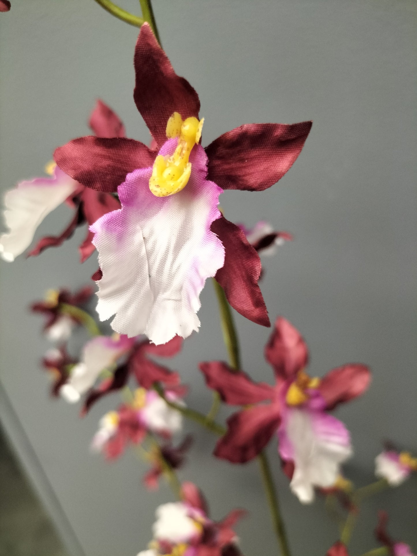 Dancing Orchidee - burgundy, 100cm