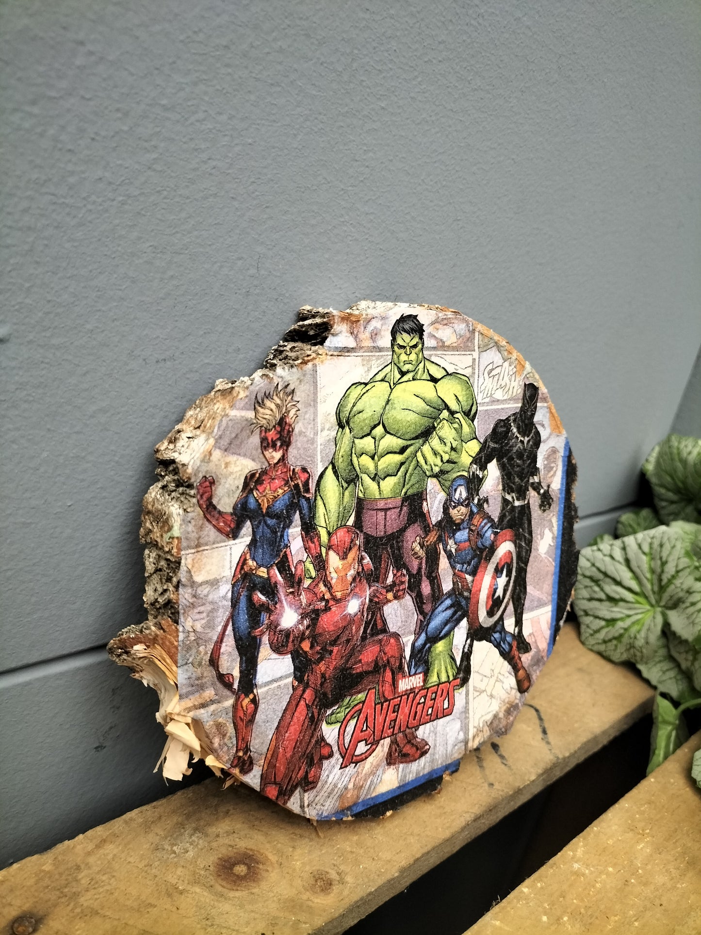 Berk schijf - marvel avengers