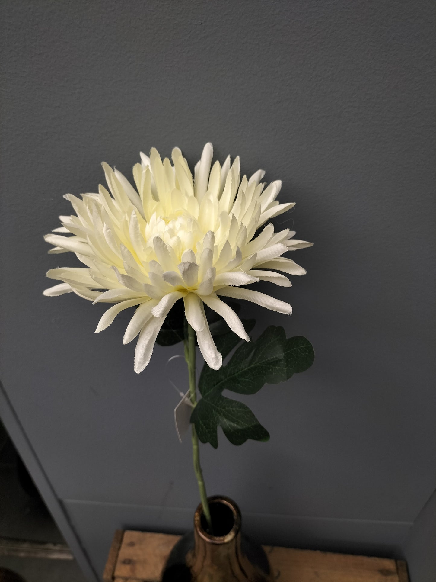 Spider mum - 65cm, creme