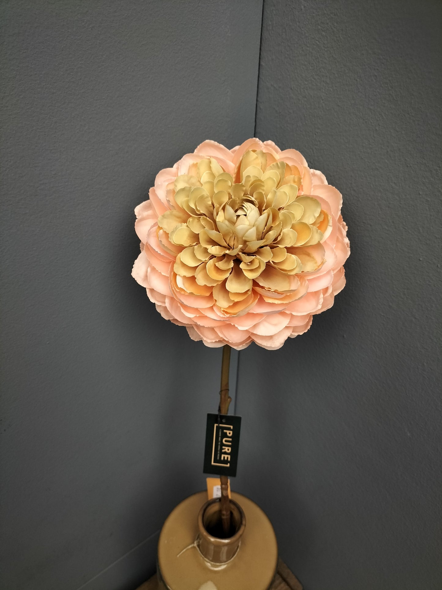 Dahlia - perzik, 60cm