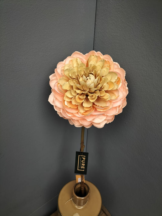 Dahlia - perzik, 60cm