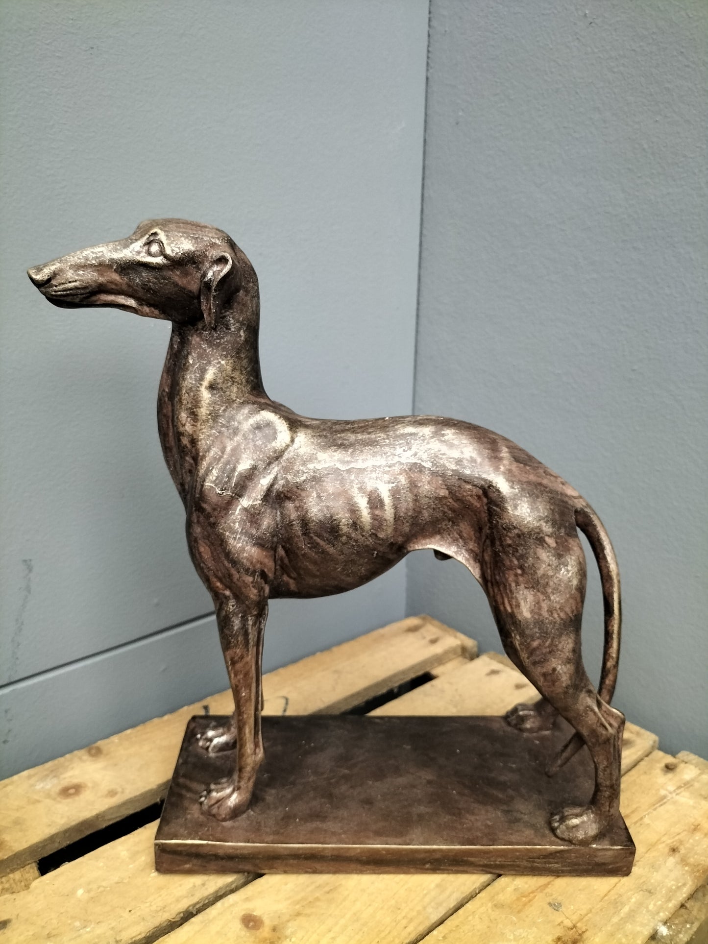 Hazewindhond/ whippet staand - polyresin, 32cm