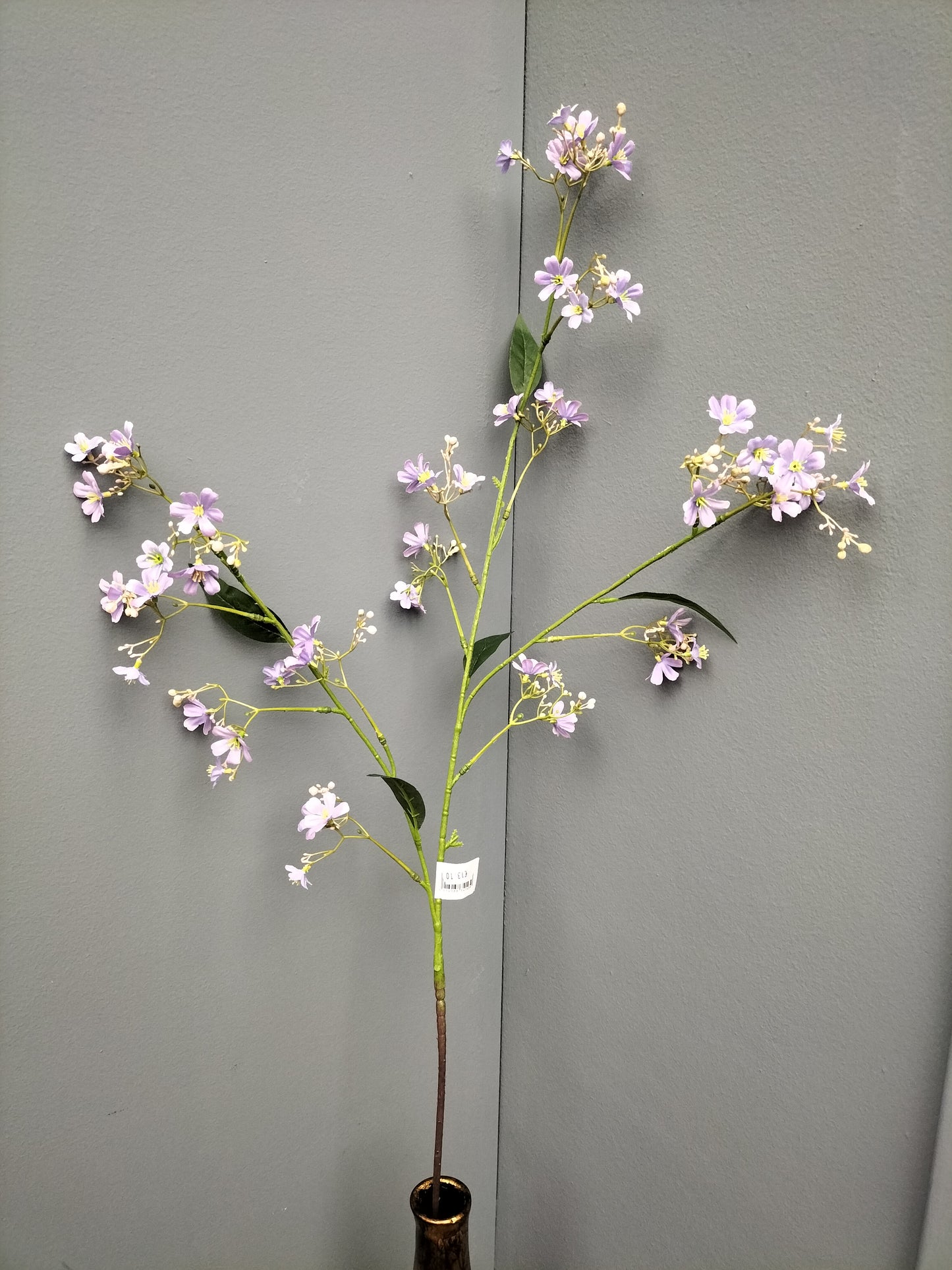 Heliophila - paars , 110cm