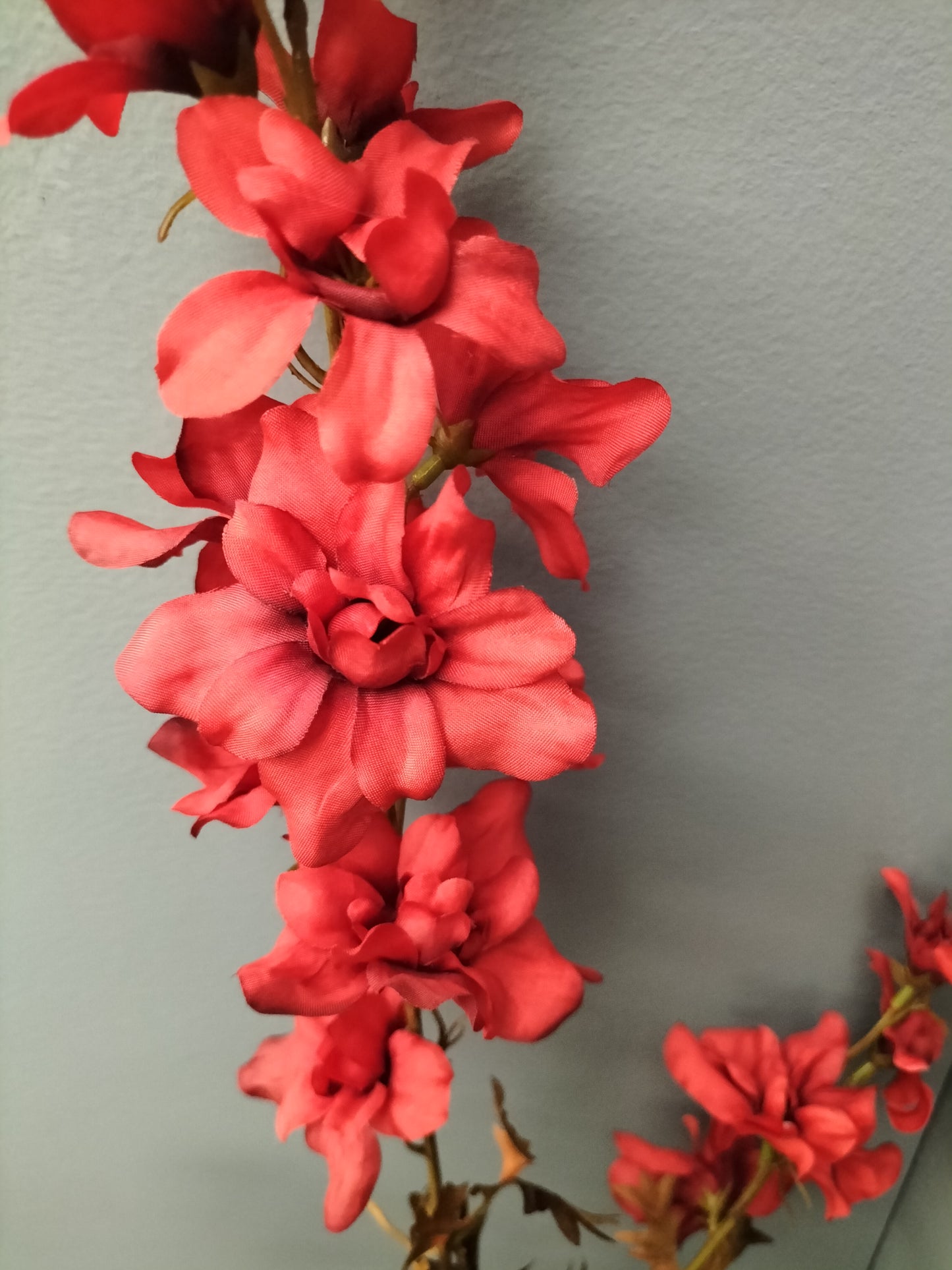 Delphinium - 95cm, rood