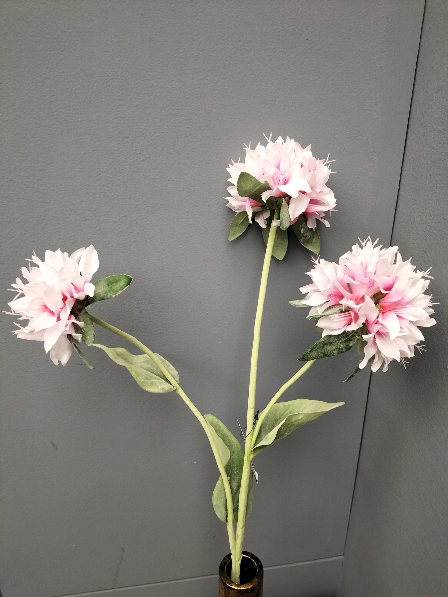 Monarda - creme/roze, 67cm