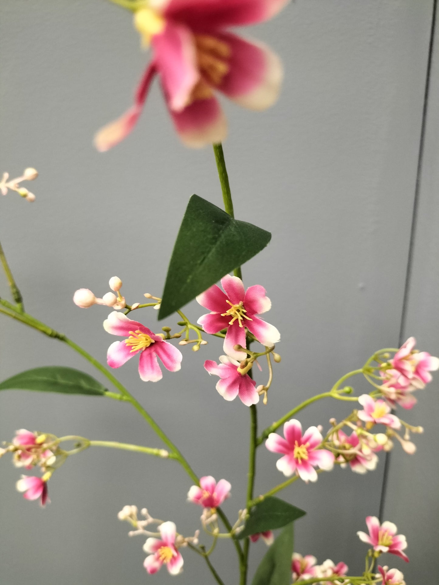 Heliophila - roze, 110cm