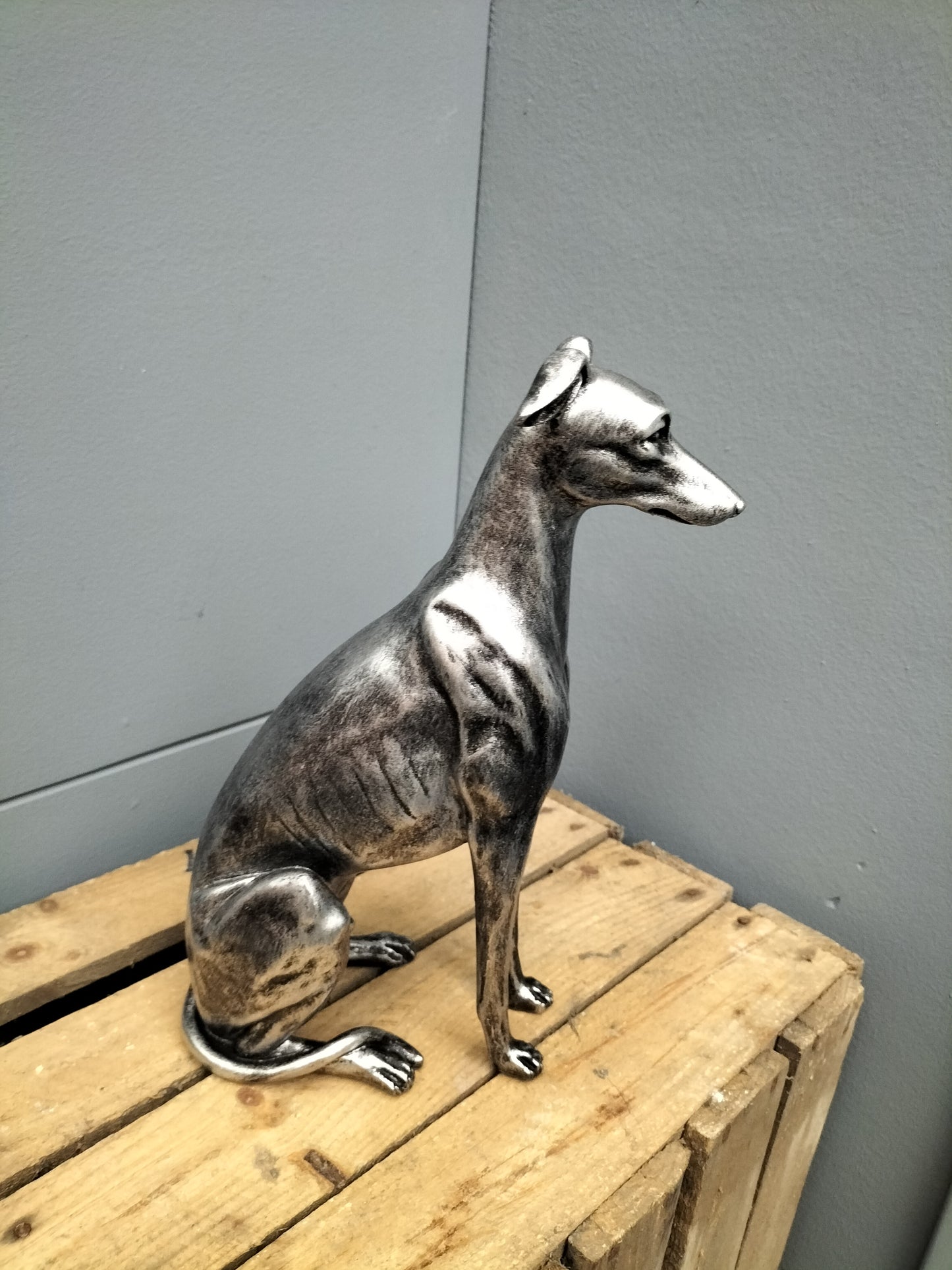 Hazewindhond/ whippet zittend - polyresin, 30cm