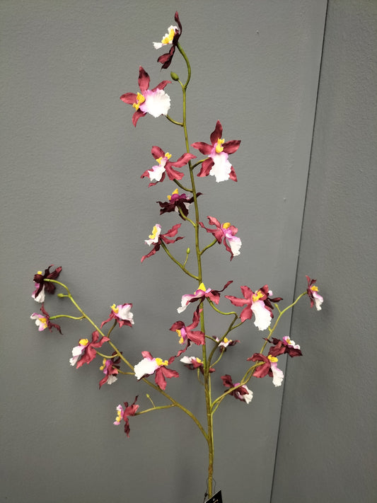 Dancing Orchidee - burgundy, 100cm