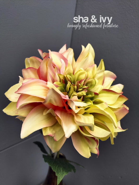 Dahlia - groen/roze 64cm