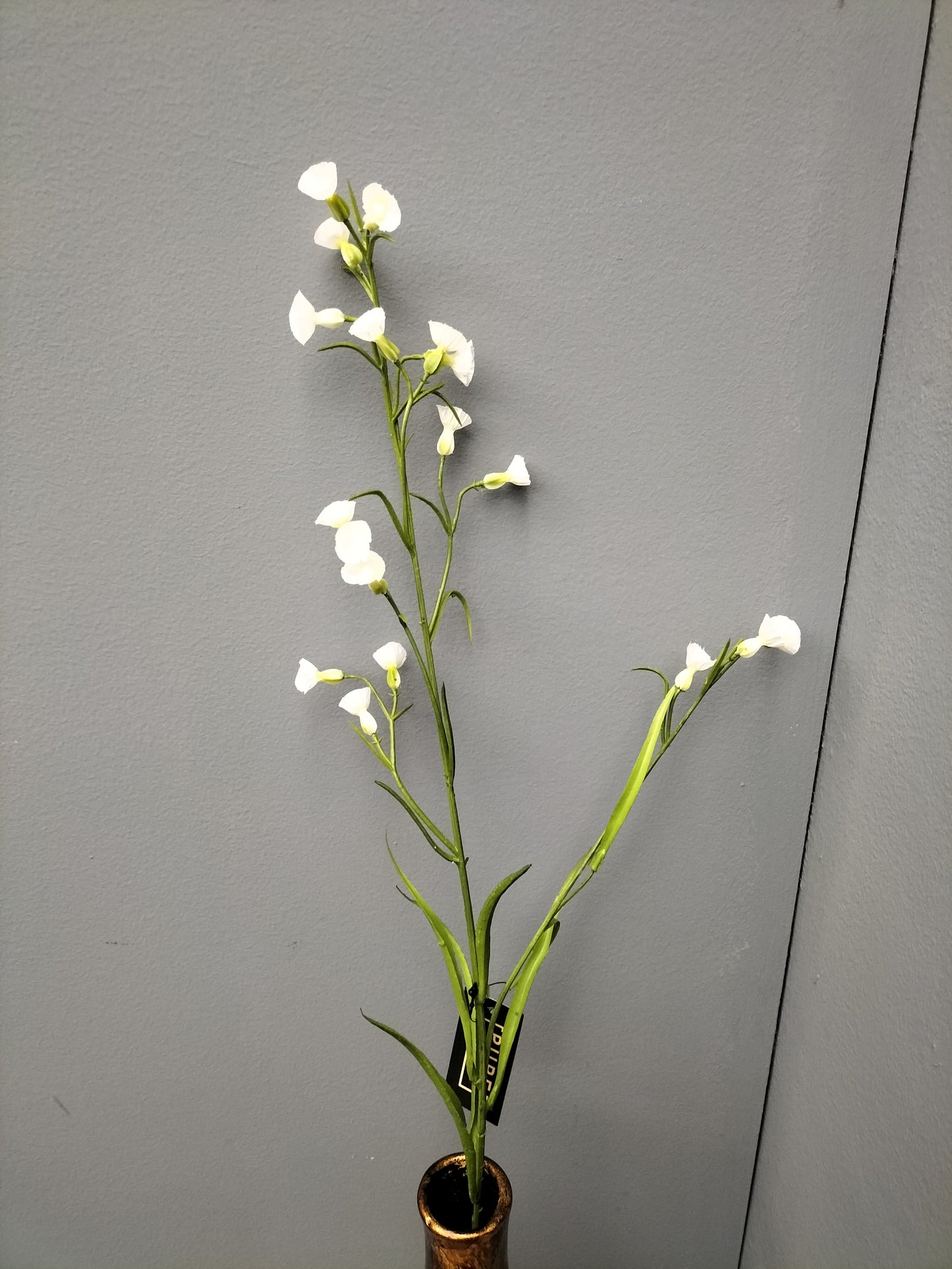 Mini nicotiana - creme, 75cm