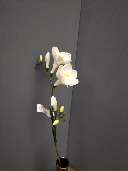 Freesia - wit, 68cm