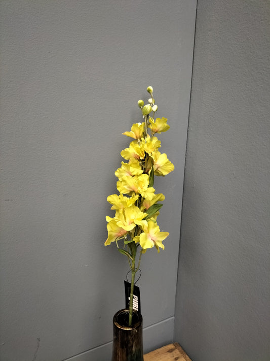 Delphinium - groen, 62cm