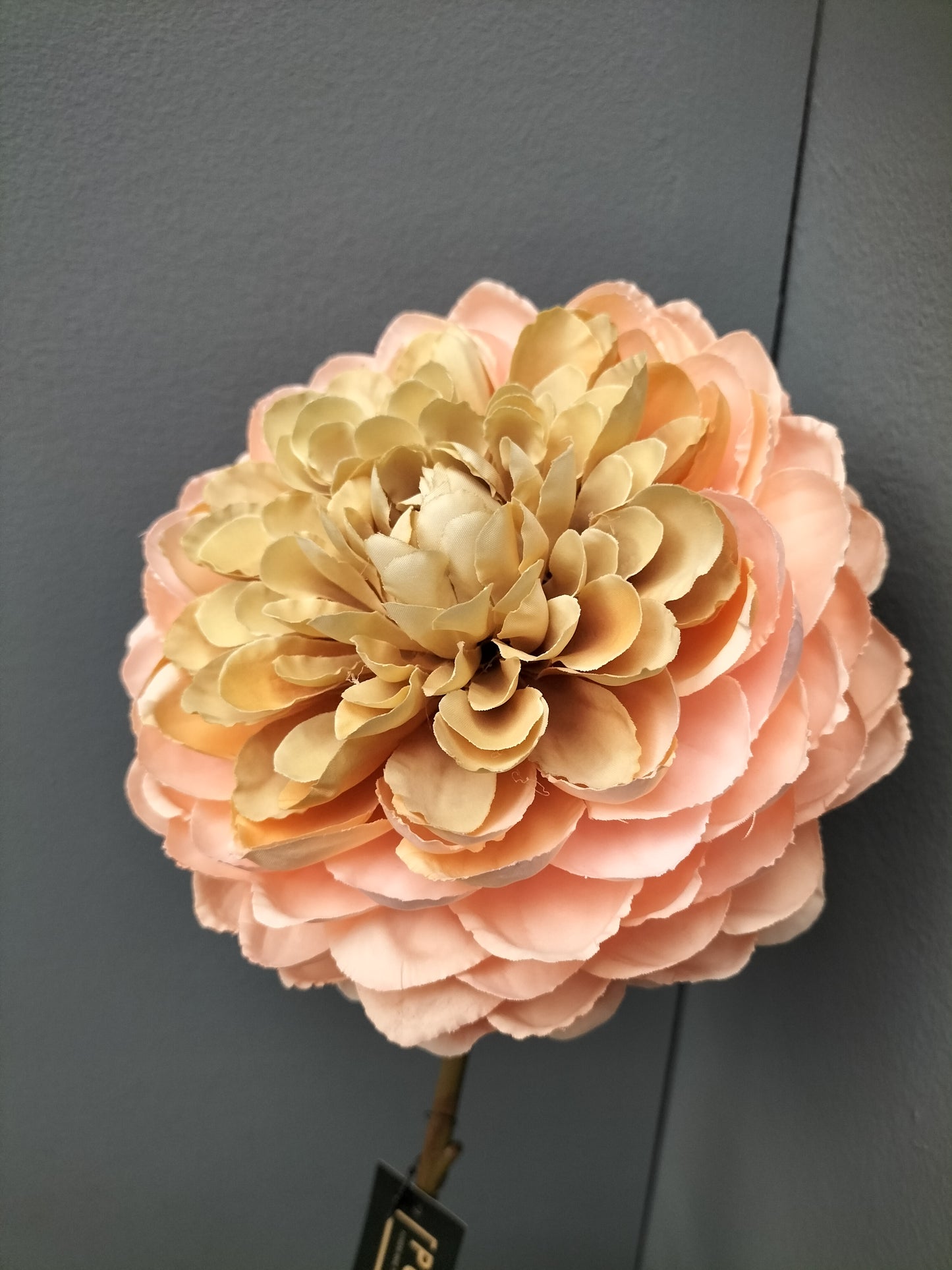 Dahlia - perzik, 60cm