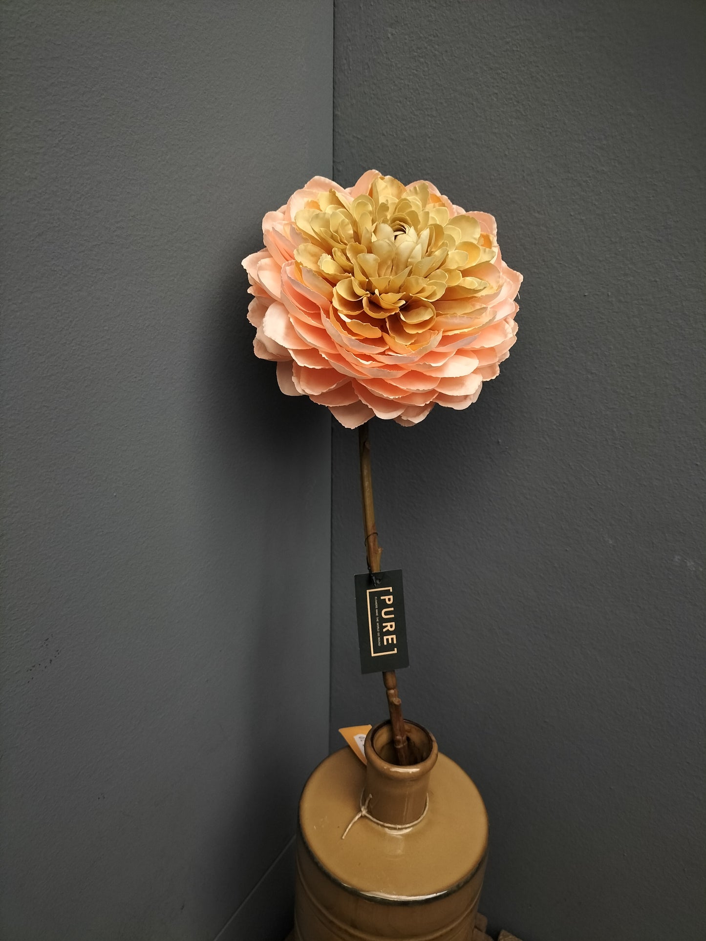 Dahlia - perzik, 60cm