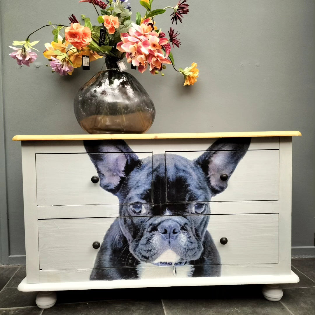 French Bulldog ladekast