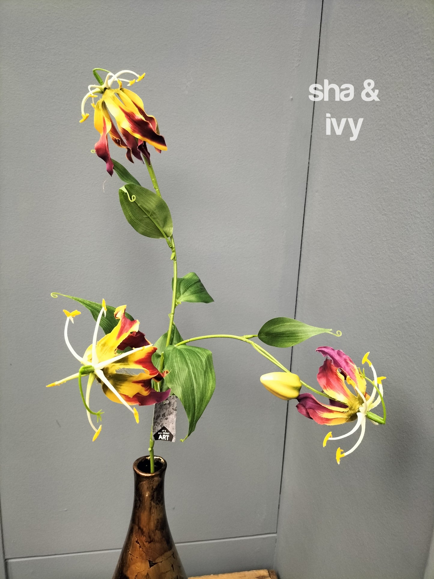 Gloriosa - 84cm