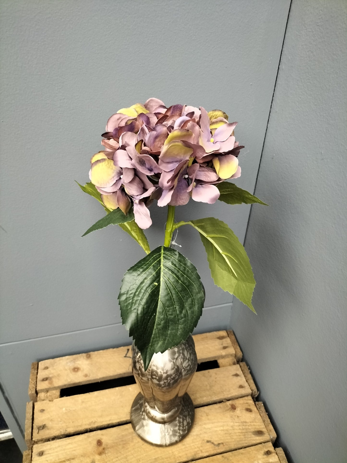 Hortensia - paars 48cm