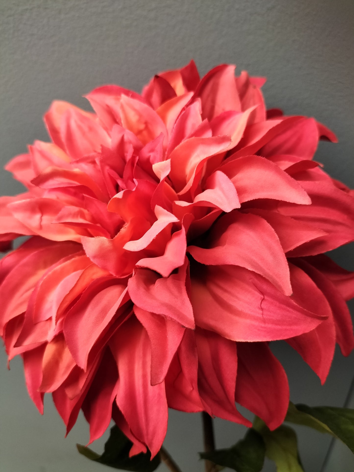 Dahlia - rood, 55cm