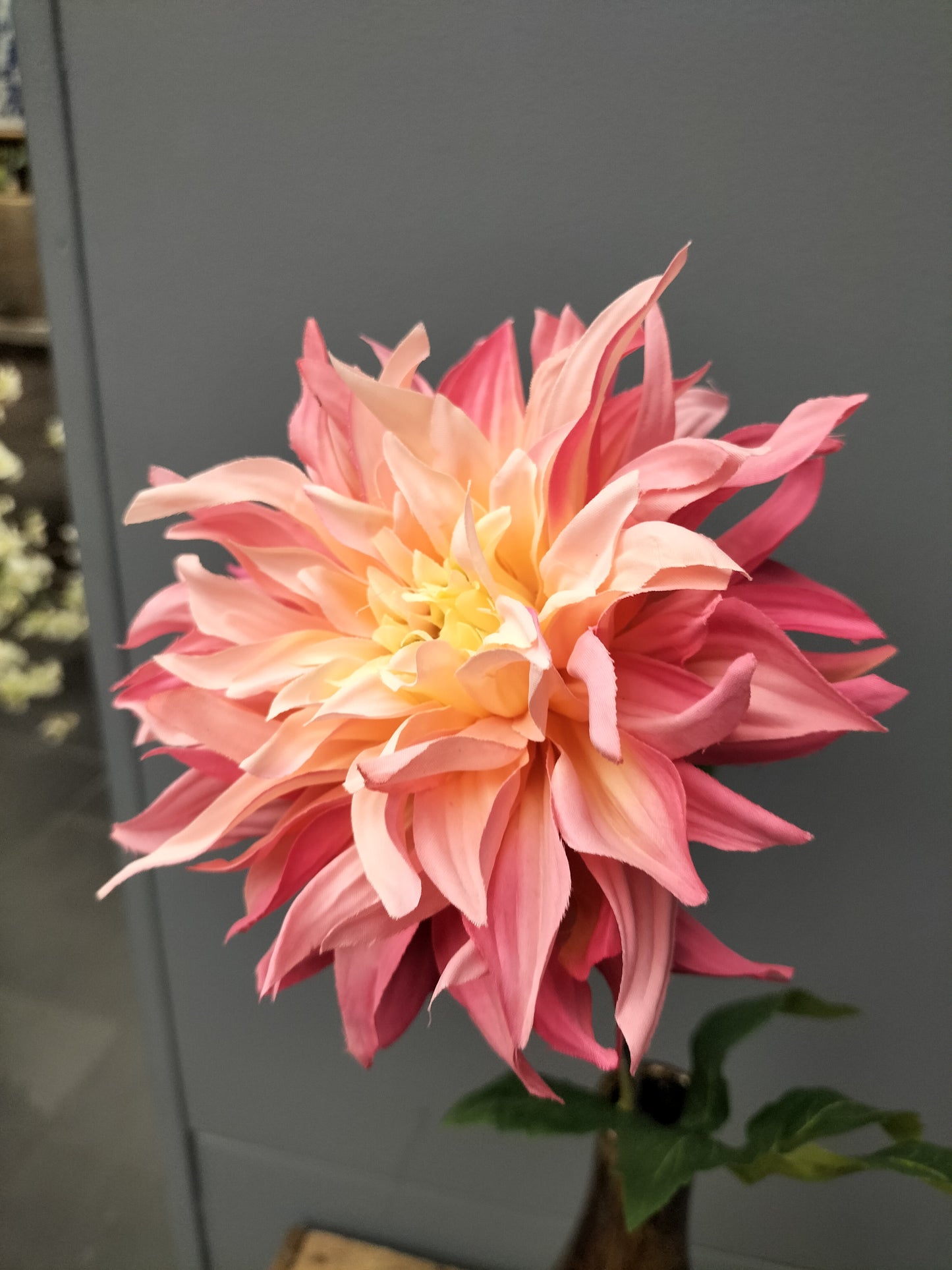 Dahlia - rose/geel, 63cm