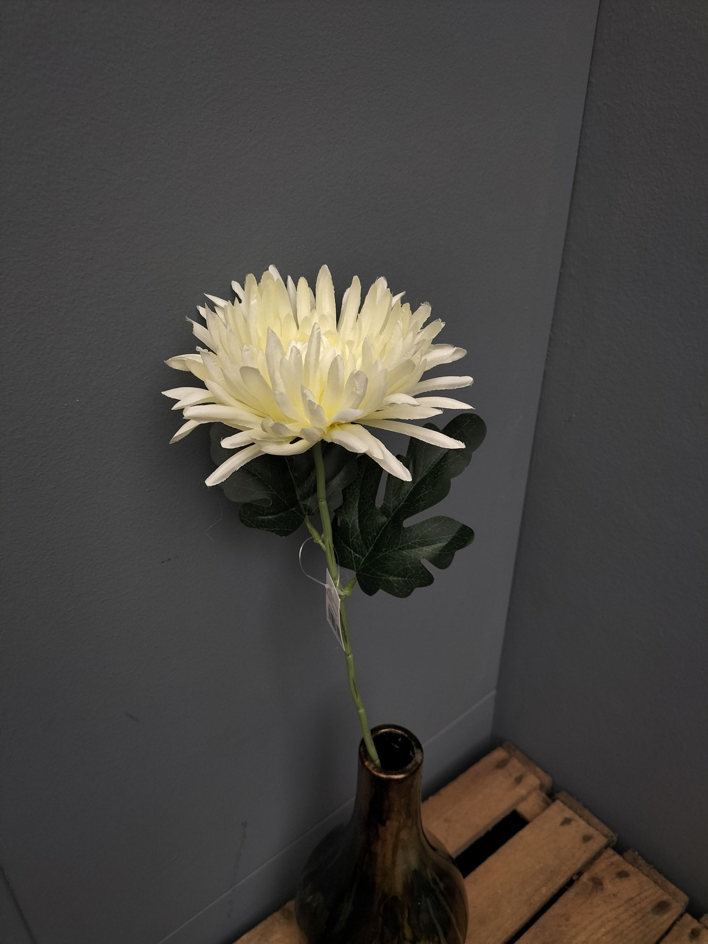 Spider mum - 65cm, creme