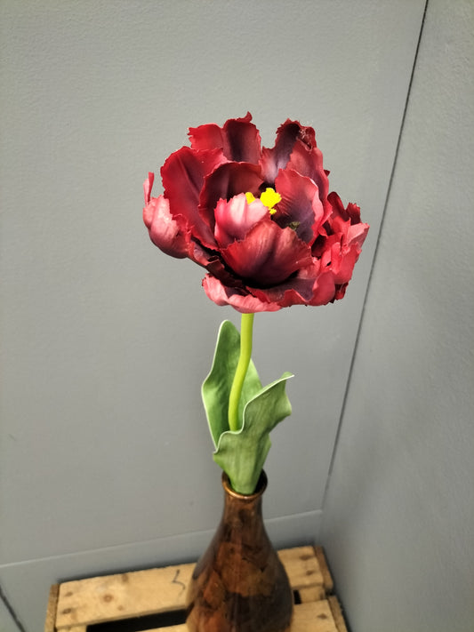 Parrot tulip - rood