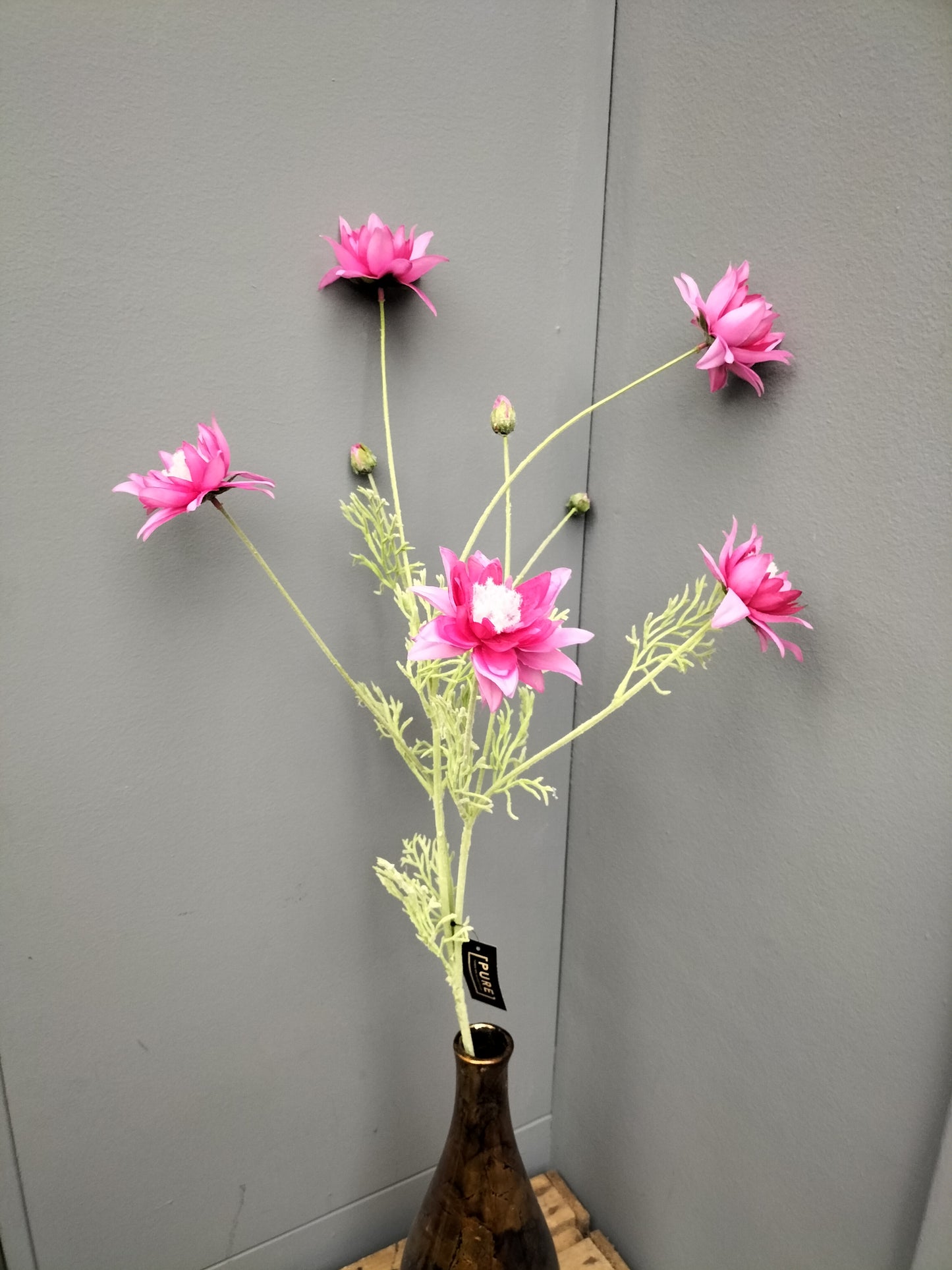 Serruria - 95cm, roze