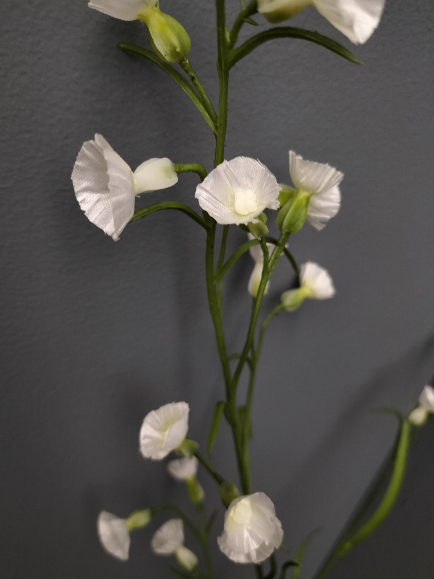 Mini nicotiana - creme, 75cm