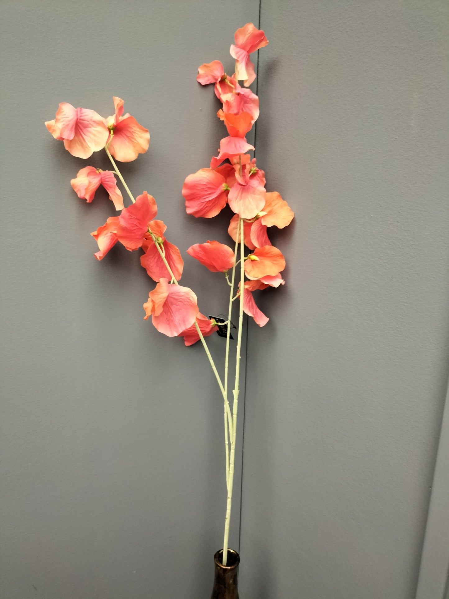 Erwten bloem - coral, 115cm