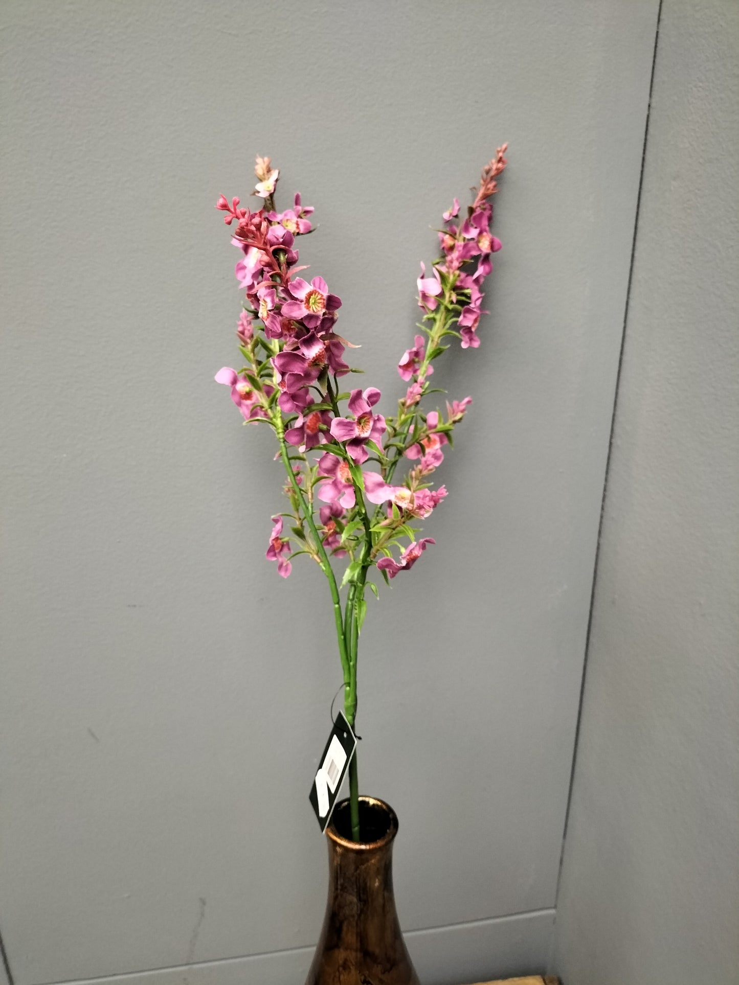 Catmint - roze, 74cm