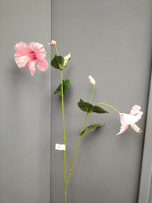 Hibiscus - roze, 110cm